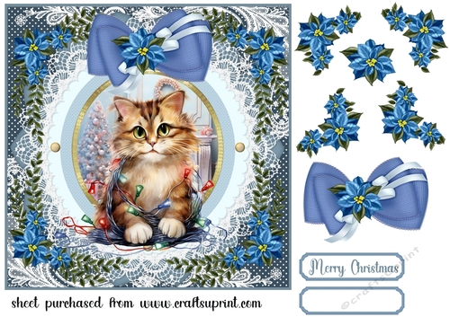 Kitty in a Christmas tangle card front 3
