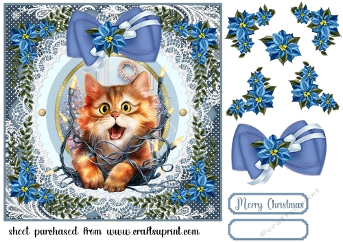 Kitty in a Christmas tangle card front 5