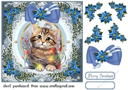 Kitty in a Christmas tangle card front 6