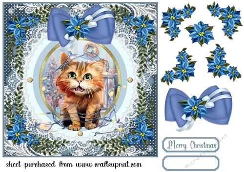 Kitty in a Christmas tangle card front 7