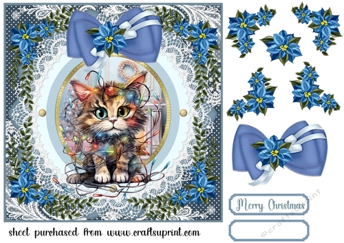 Kitty in a Christmas tangle card front 8