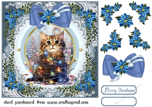Kitty in a Christmas tangle card front 10