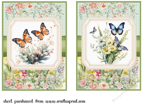 2 Floral butterfly card fronts(5x7 aprox) 1