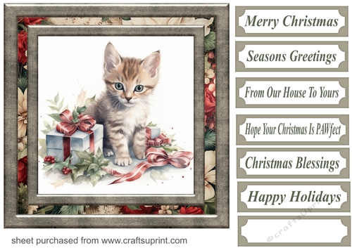 Cute Christmas kitten card front 1