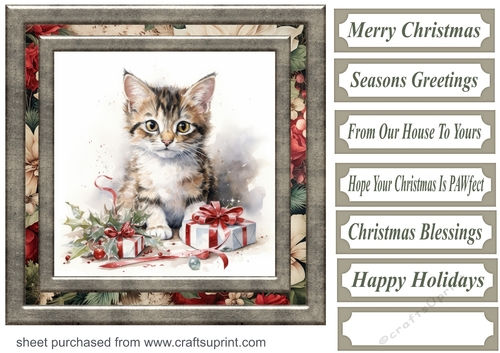 Cute Christmas kitten card front 2