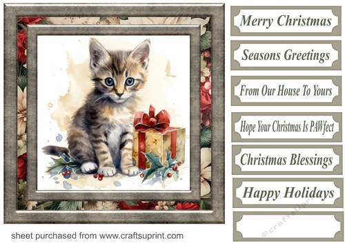 Cute Christmas kitten card front 3