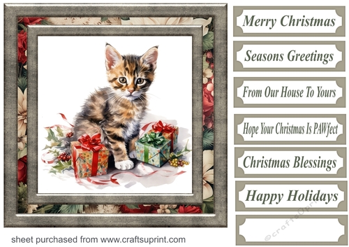 Cute Christmas kitten card front 5