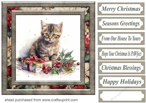 Cute Christmas kitten card front 6