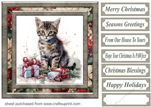 Cute Christmas kitten card front 7
