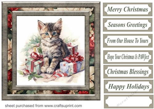 Cute Christmas kitten card front 8
