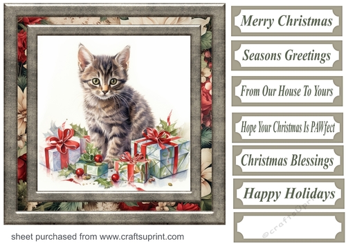 Cute Christmas kitten card front 9