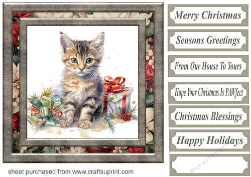 Cute Christmas kitten card front 10