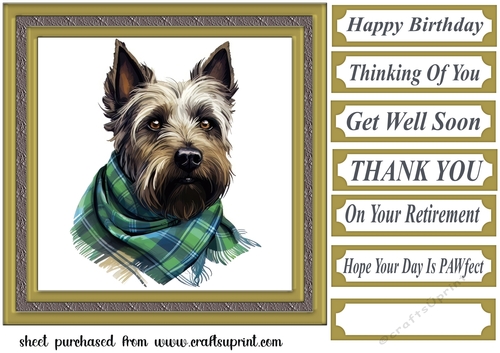 Tartan scarf Scottish terrier card front 1
