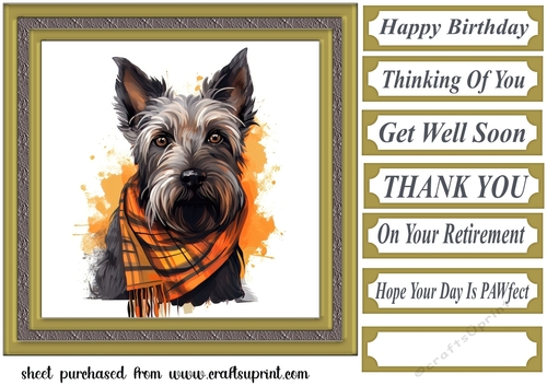 Tartan scarf Scottish terrier card front 3