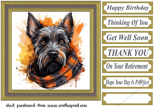 Tartan scarf Scottish terrier card front 4