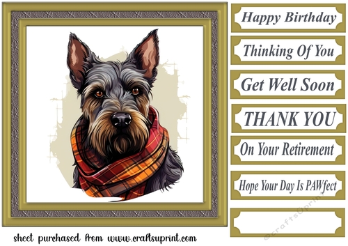 Tartan scarf Scottish terrier card front 10