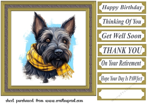 Tartan scarf Scottish terrier card front 11