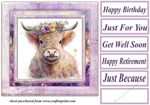Purple floral Highland cow card front 3