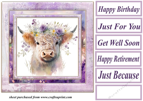 Purple floral Highland cow card front 4