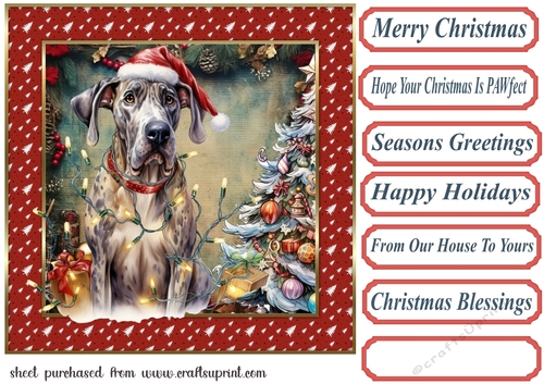 Framed pup in a tangle Christmas card front 1