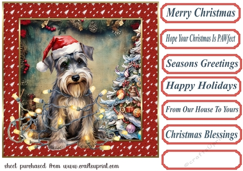Framed pup in a tangle Christmas card front 2