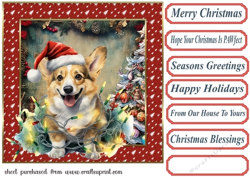 Framed pup in a tangle Christmas card front 3
