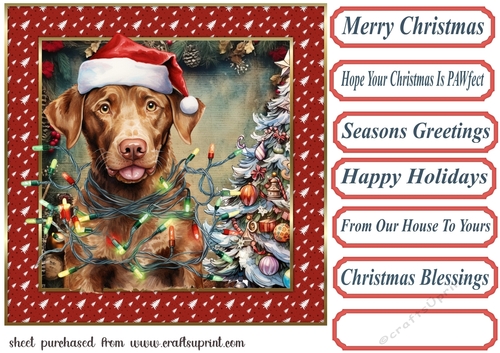 Framed pup in a tangle Christmas card front 4