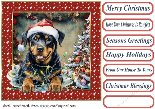 Framed pup in a tangle Christmas card front 5