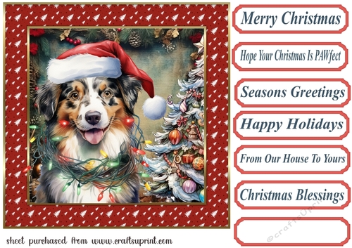 Framed pup in a tangle Christmas card front 6