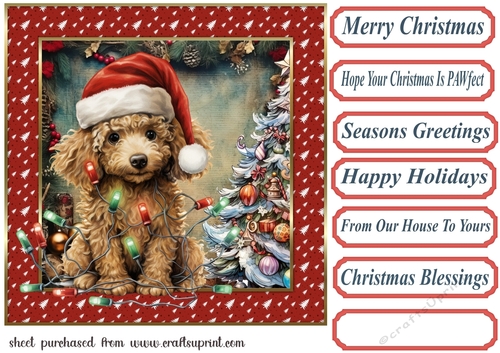 Framed pup in a tangle Christmas card front 7