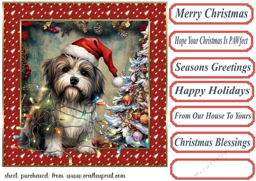 Framed pup in a tangle Christmas card front 8