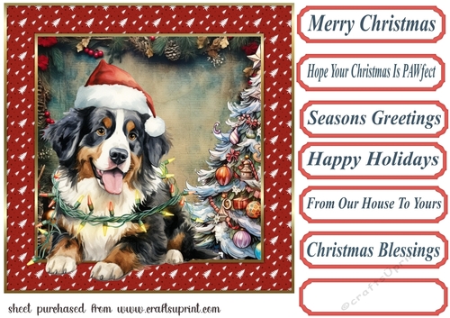 Framed pup in a tangle Christmas card front 9