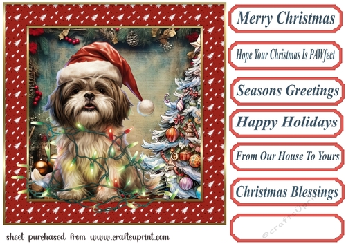 Framed pup in a tangle Christmas card front 10