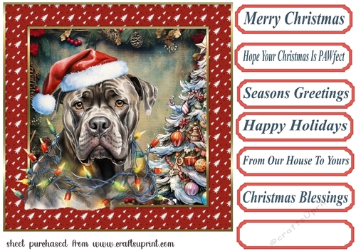 Framed pup in a tangle Christmas card front 11