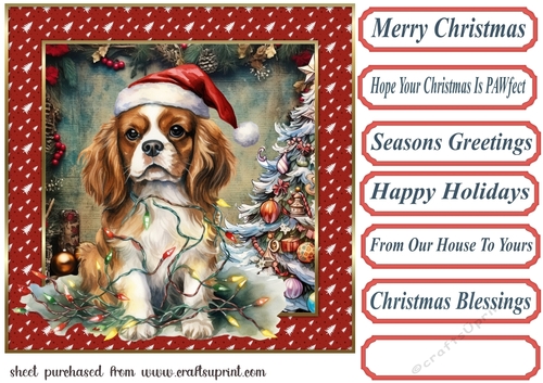 Framed pup in a tangle Christmas card front 12