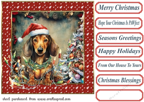Framed pup in a tangle Christmas card front 13