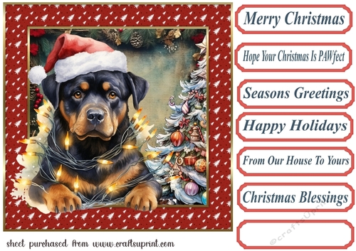 Framed pup in a tangle Christmas card front 14