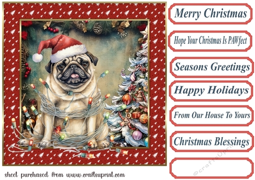 Framed pup in a tangle Christmas card front 15