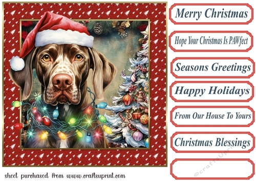 Framed pup in a tangle Christmas card front 16