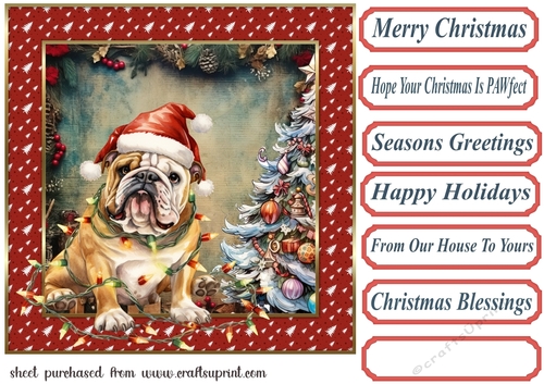 Framed pup in a tangle Christmas card front 17