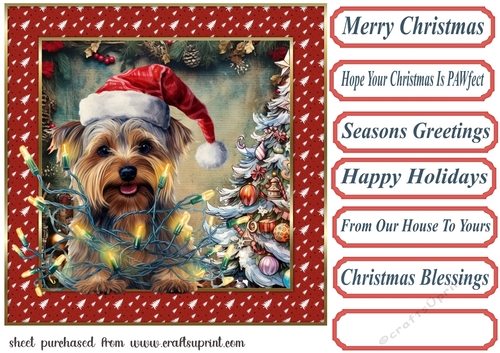 Framed pup in a tangle Christmas card front 18