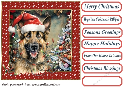 Framed pup in a tangle Christmas card front 19