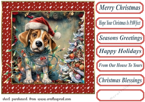 Framed pup in a tangle Christmas card front 20