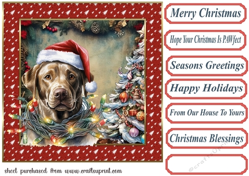 Framed pup in a tangle Christmas card front 21