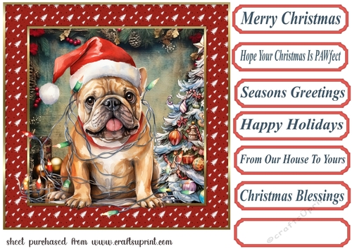 Framed pup in a tangle Christmas card front 22