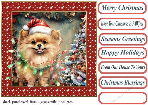 Framed pup in a tangle Christmas card front 23