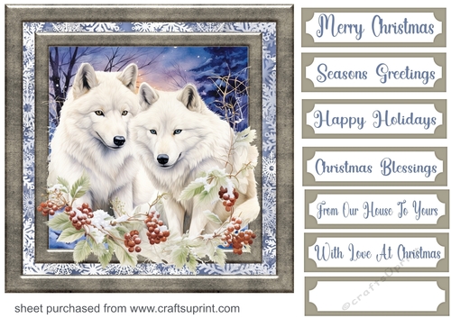 Framed winter animals card front 1