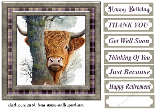 Hiding Highland cow card front 1