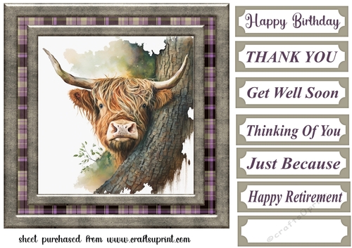 Hiding Highland cow card front 2