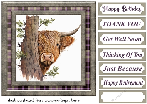 Hiding Highland cow card front 4